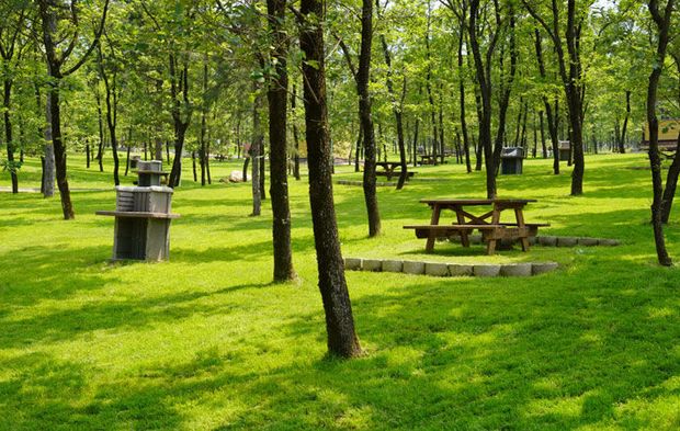 Bursa'da hafta sonu kaçamağı! İşte piknik yapılacak en güzel 15 adres