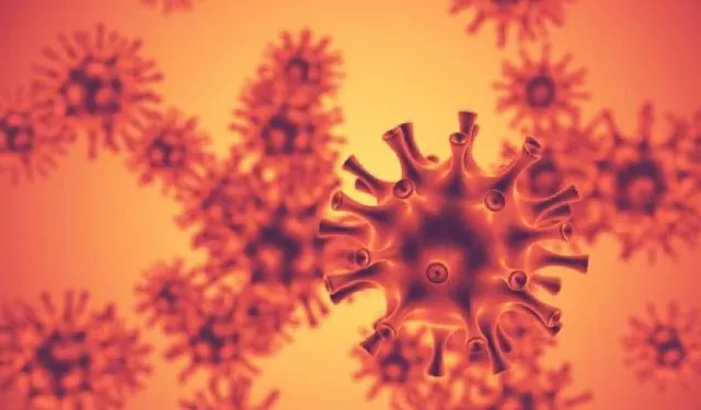 H3N2 virüsü Türkiye’de var mı? H3N2 nedir? Uzmanlar yayılımı yakından takip ediyor