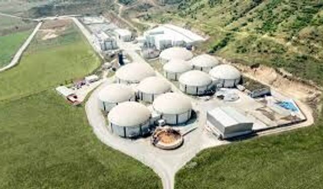 Arf Bio Enerji ne iş yapıyor? Hangi sektörlerde faaliyet gösteriyor?