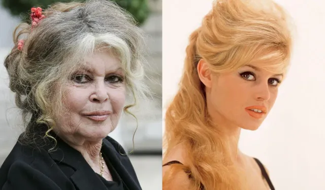 Sinemanın yıldızıydı... Brigitte Bardot hayatını kaybetti!
