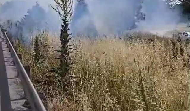 İzmir-Bursa kara yolunda korkutan alev