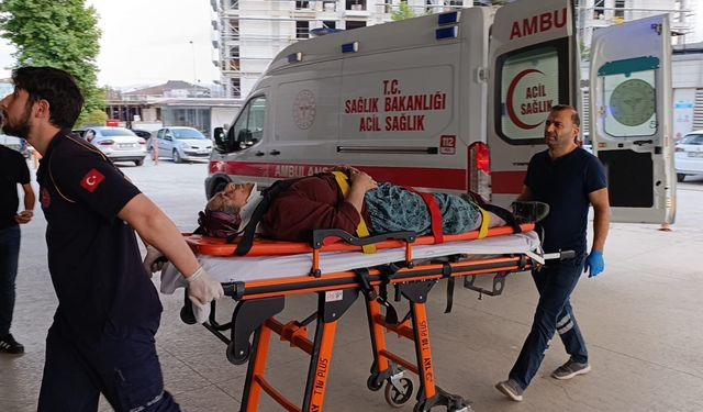 Bursa'da kiraz toplamak için çıktığı ağaçtan düşerek yaralandı