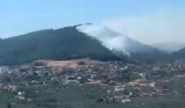 Balıkesir'de korkutan orman yangını!