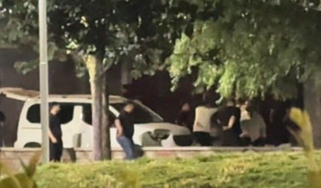 Bursa'da parkta tekme tokatlar havada uçuştu