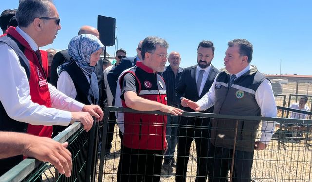 Tarım ve Orman Bakanlığı'ndan 1600 üreticiye 160 bin küçükbaş hayvan desteği