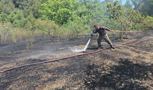 Bursa'da çöp yakılırken çıkan yangında 4 dönüm alan zarar gördü