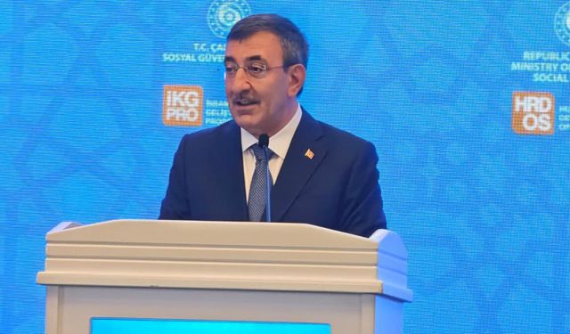 "AB, diğer aday ülkeler ile Türkiye'ye aynı kriterleri uygulamalı"