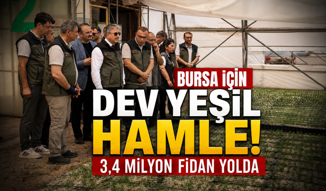 Bursa’da yanan ormanlar, Eskişehir’de üretilen fidanlarla yeşillenecek!