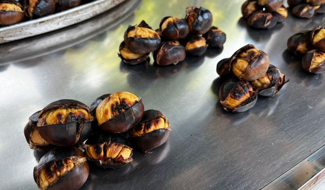 Bursa’da kestane satışları düşüşte!