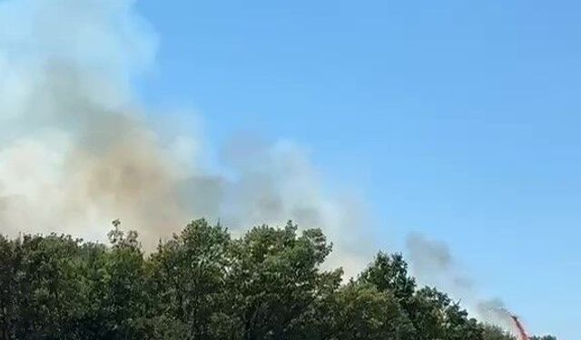 Kestel'deki orman yangını söndürüldü