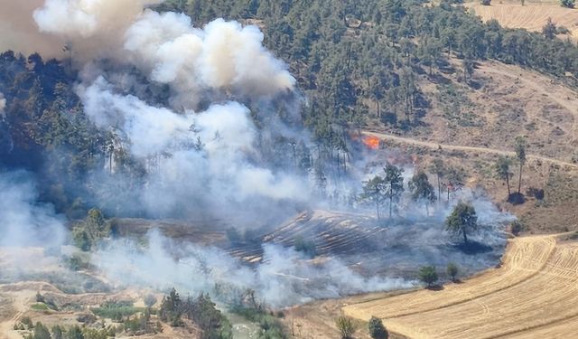 Bursa'da otluk alanda çıkan yangın ormana sıçradı!