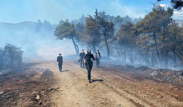 Bursa'daki orman yangını kontrol altında! Bölgede soğutma çalışmaları devam ediyor