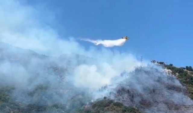İzmir Narlıdere'deki yangın kontrol altına alındı
