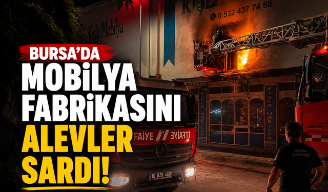 Bursa'da mobilya fabrikasını alevler sardı!