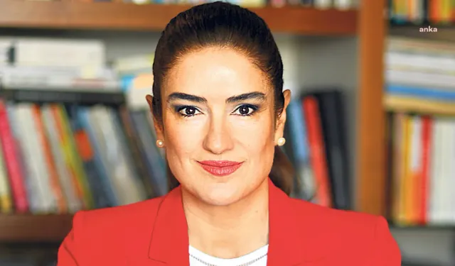 Ahbap soruşturmasında gözaltına alınan avukat Ece Güner'in ifadesi ortaya çıktı