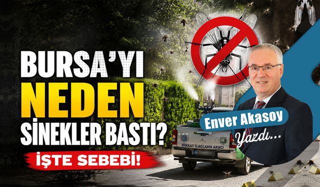 Bursa'yı neden sinekler bastı? İşte sebebi!