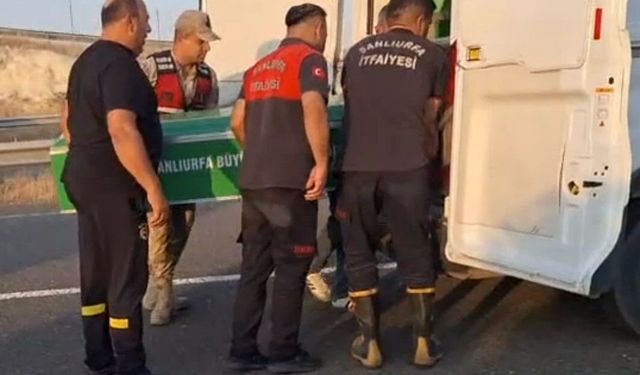Günübirlik gezi faciayla bitti: 3 ölü, 3'ü çocuk 8 yaralı