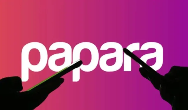 Papara'nın sahibi Karslı yeniden gözaltında