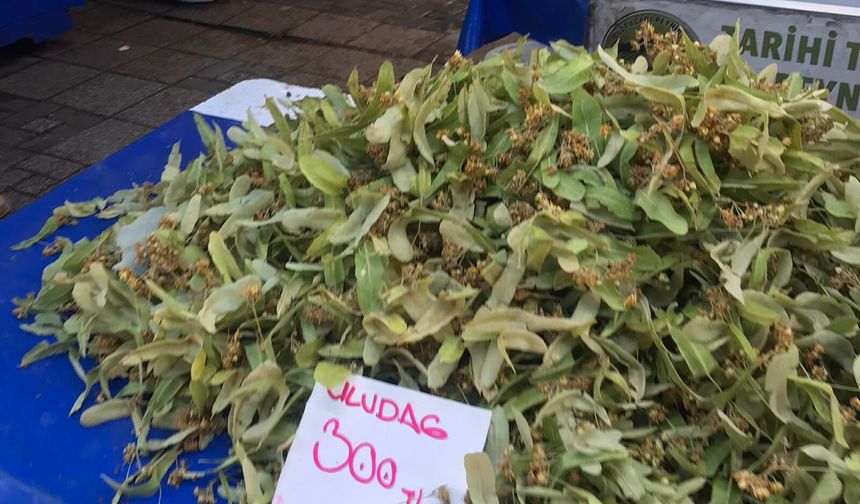 Bursa'da ıhlamur tezgâhlardaki yerini aldı!