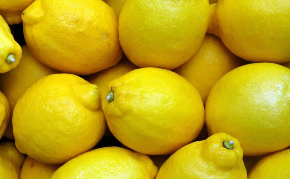 Limon ihracatında miktar geriledi, gelir yükseldi