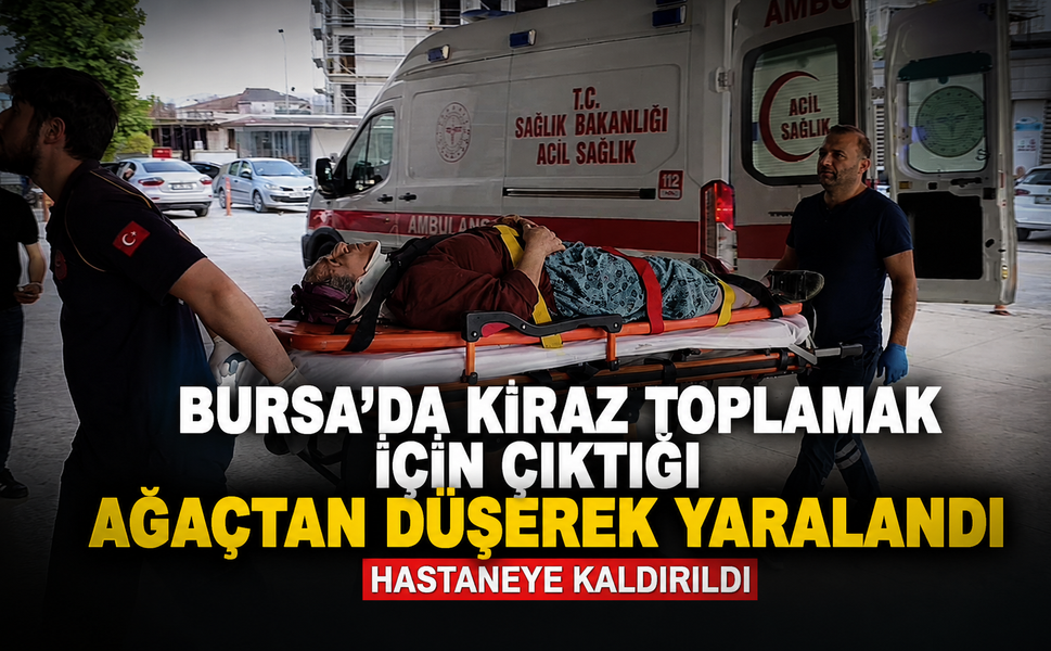 Bursa'da kiraz toplamak için çıktığı ağaçtan düşerek yaralandı