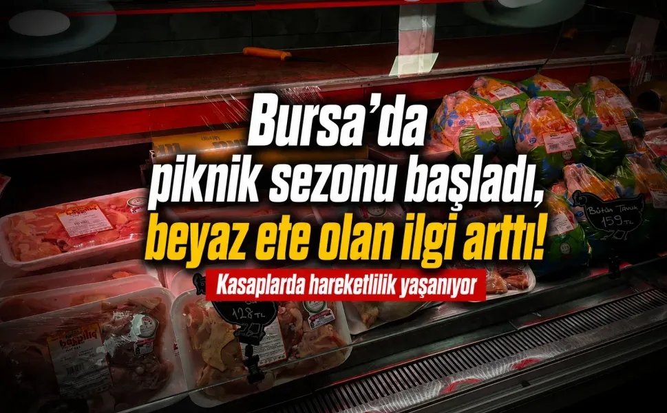 Bursa'da piknik sezonu başladı, beyaz ete olan ilgi arttı!