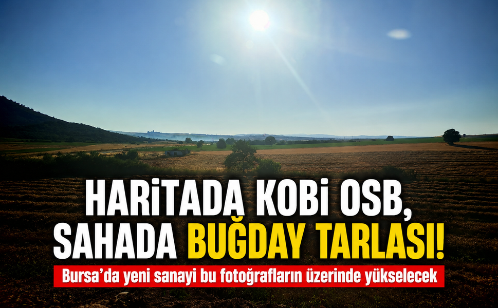 Haritada KOBİ OSB, sahada buğday tarlası! Bursa’da yeni sanayi bu fotoğrafların üzerinde yükselecek