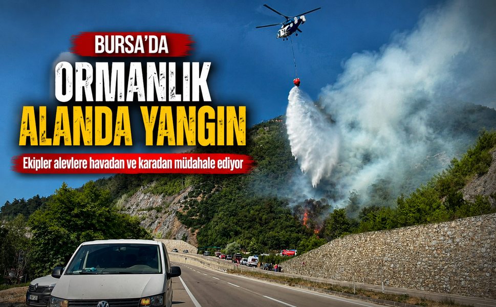 Bursa'da ormanlık alanda yangın!