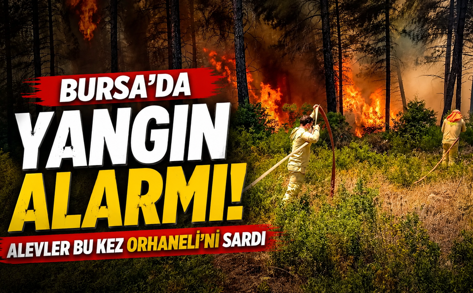 Bursa'da Yangın alarmı! Alevler bu kez Orhaneli'ni sardı
