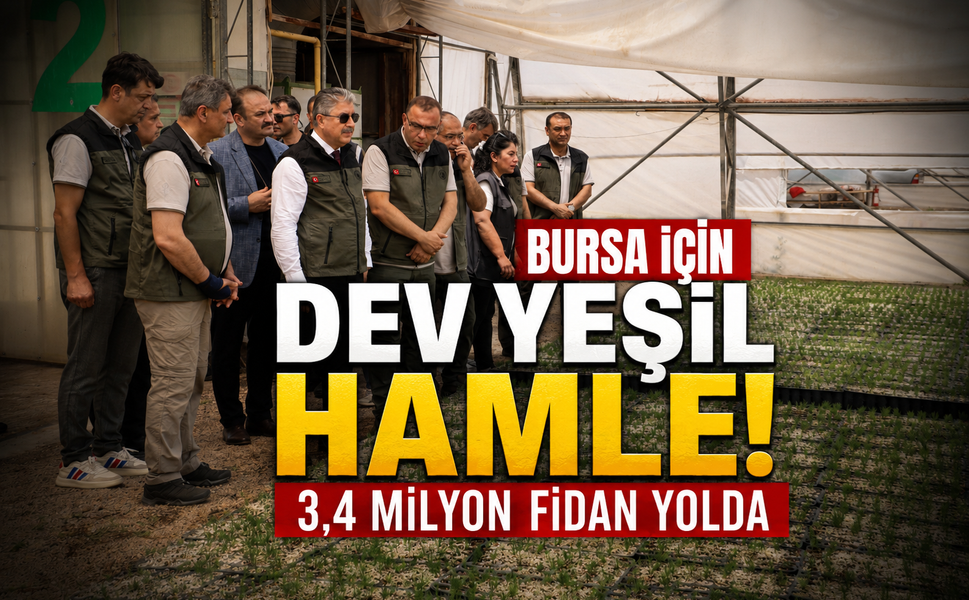 Bursa’da yanan ormanlar, Eskişehir’de üretilen fidanlarla yeşillenecek!