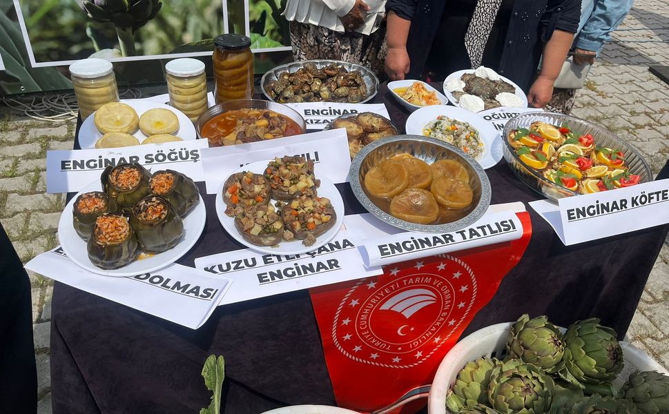 Büyükşehir'den Hasanağa enginarına hasat buluşması!