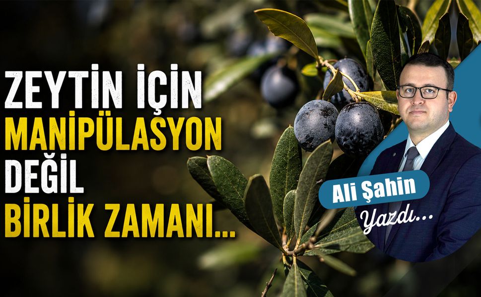Zeytin için manipülasyon değil birlik zamanı...