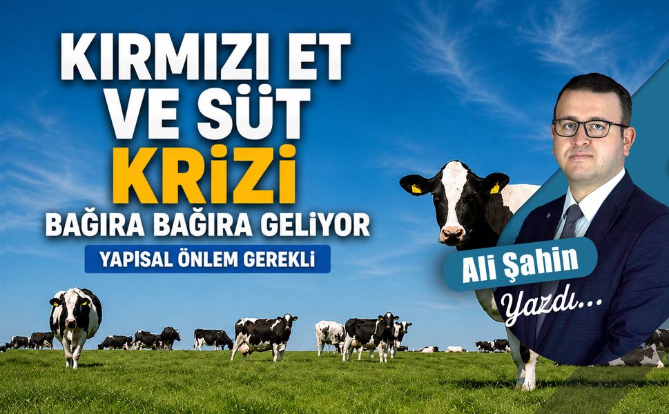Kırmızı et ve süt krizi bağıra bağıra geliyor