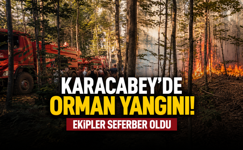Karacabey’de Orman Yangını! Ekipler seferber Oldu