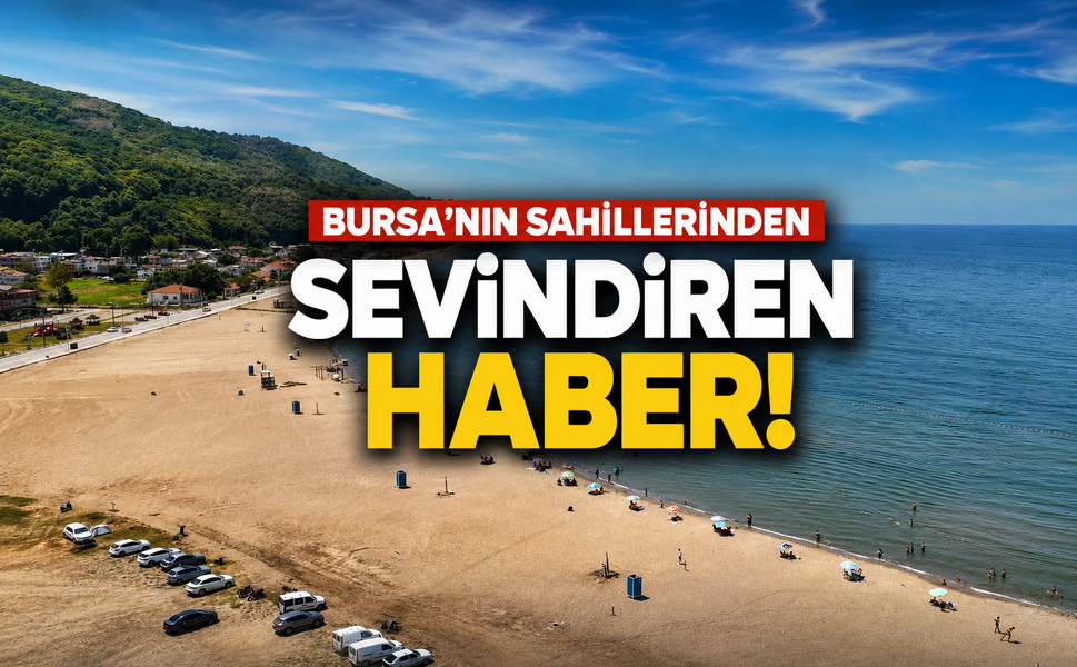 Bursa'nın sahillerinden sevindiren haber!