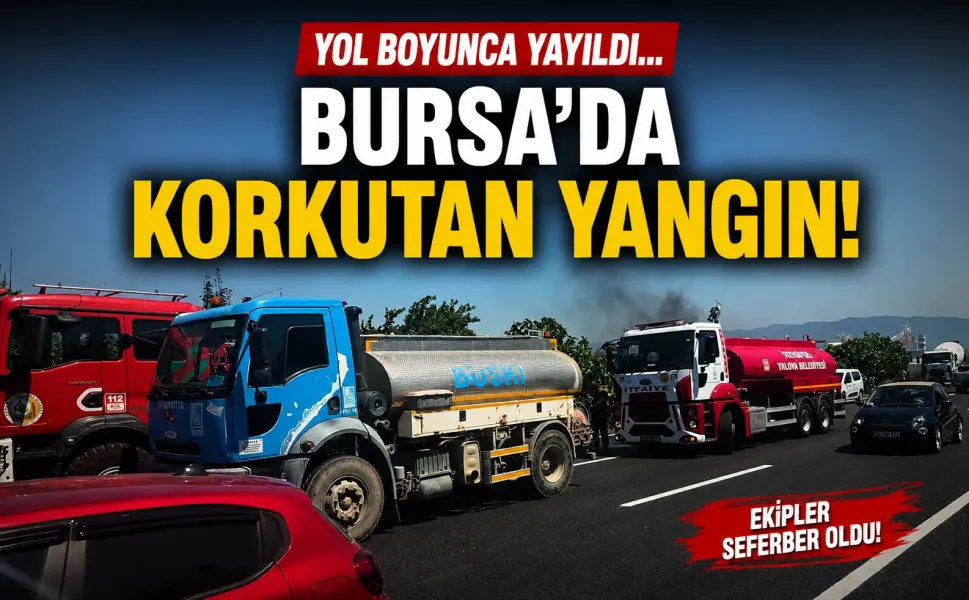 Yol boyunca yayıldı... Bursa'da korkutan yangın!