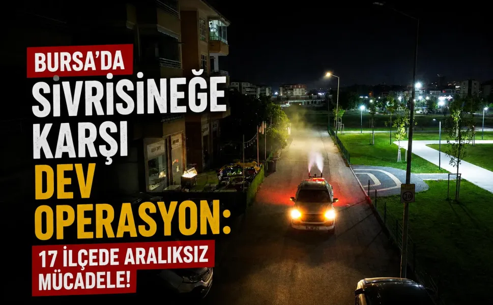 Bursa'da sivrisineğe karşı dev operasyon: 17 ilçede aralıksız mücadele!