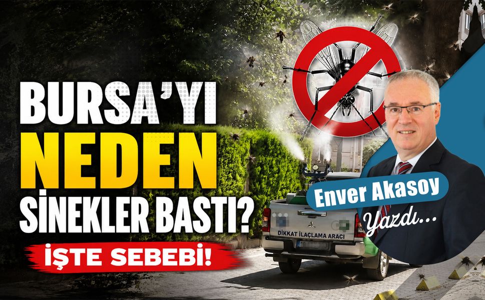 Bursa'yı neden sinekler bastı? İşte sebebi!