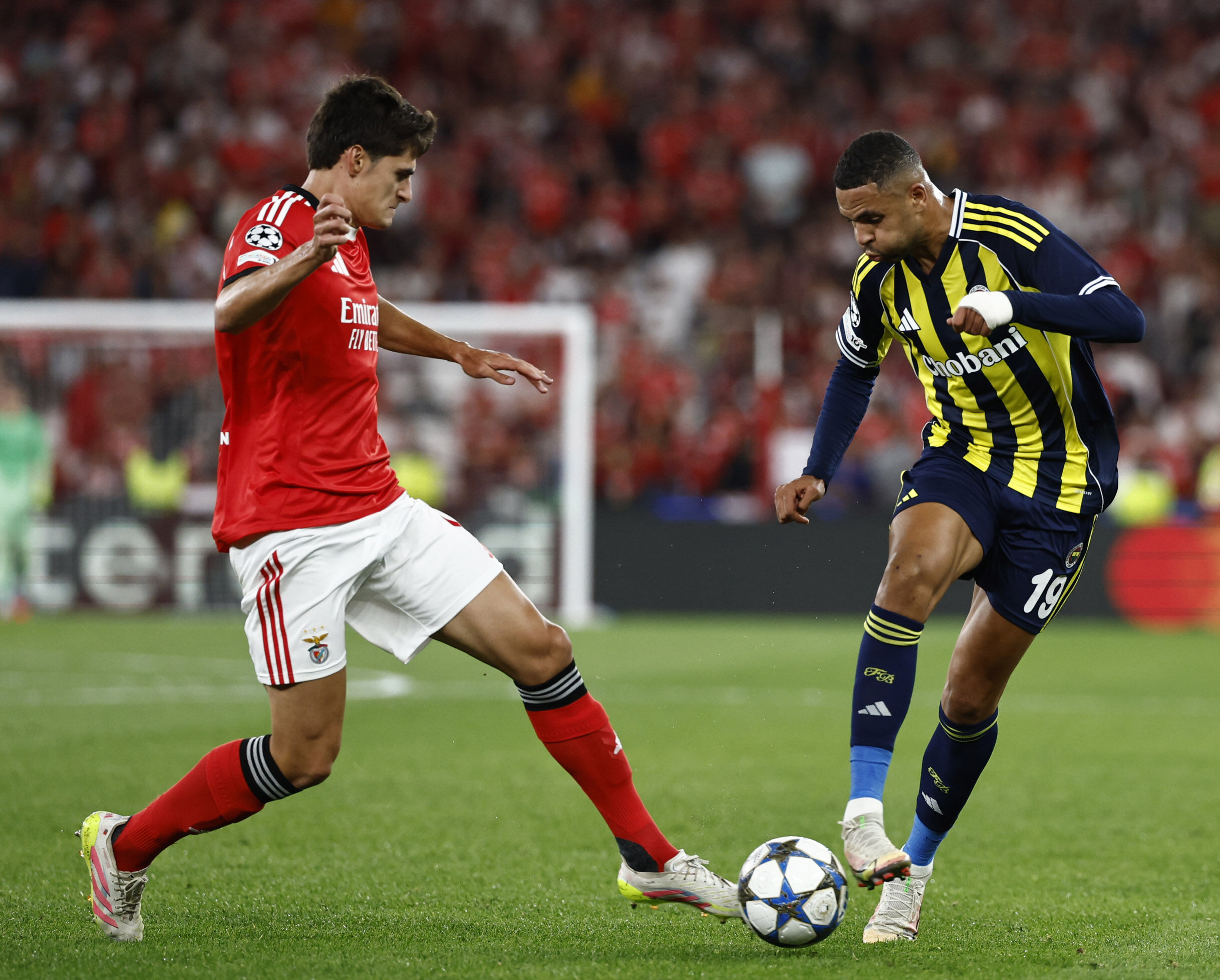 Benfica Fenerbahce Fotograflar 884763 262896 (1)-1