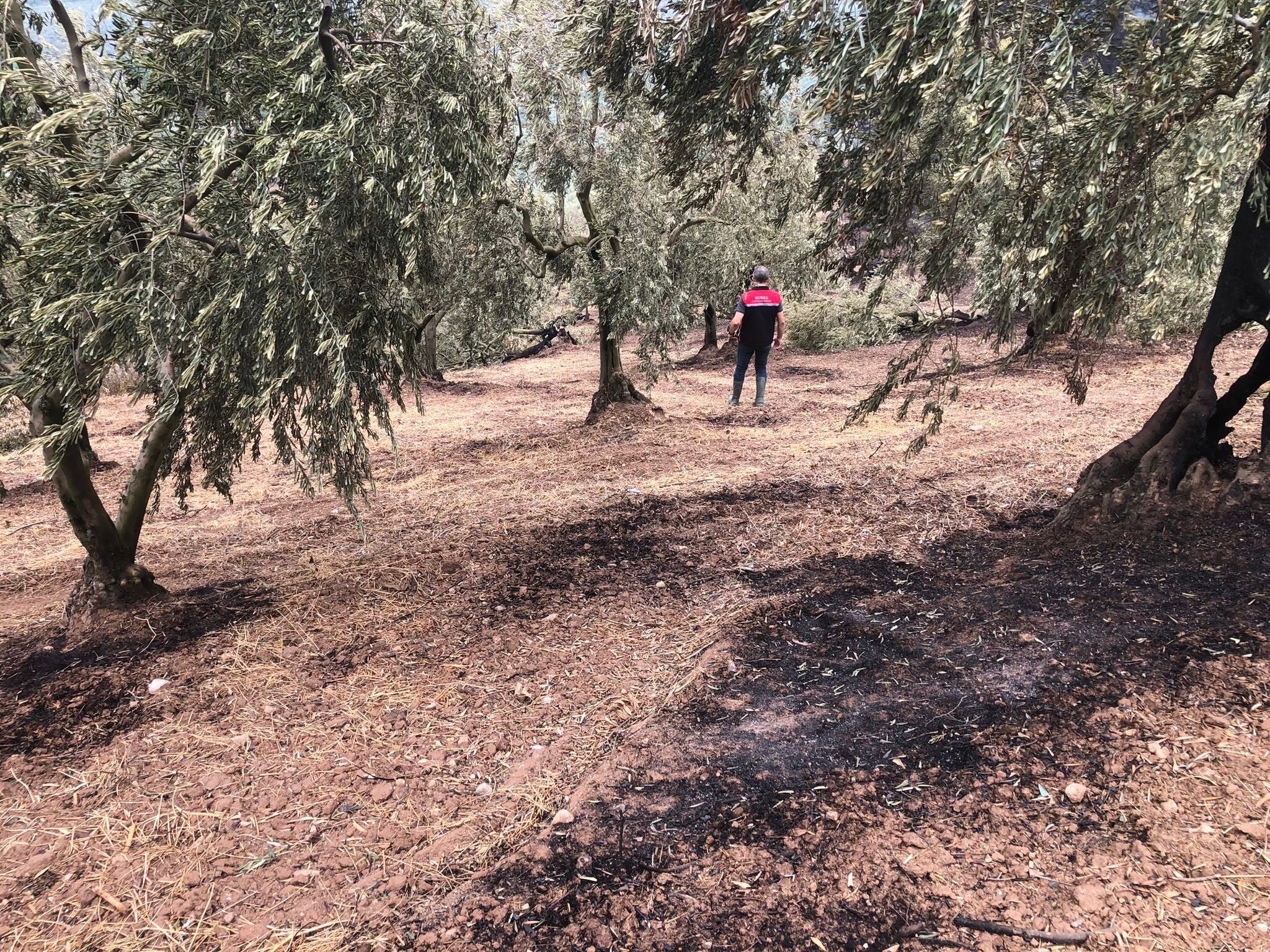 Gündoğdu (2)-1