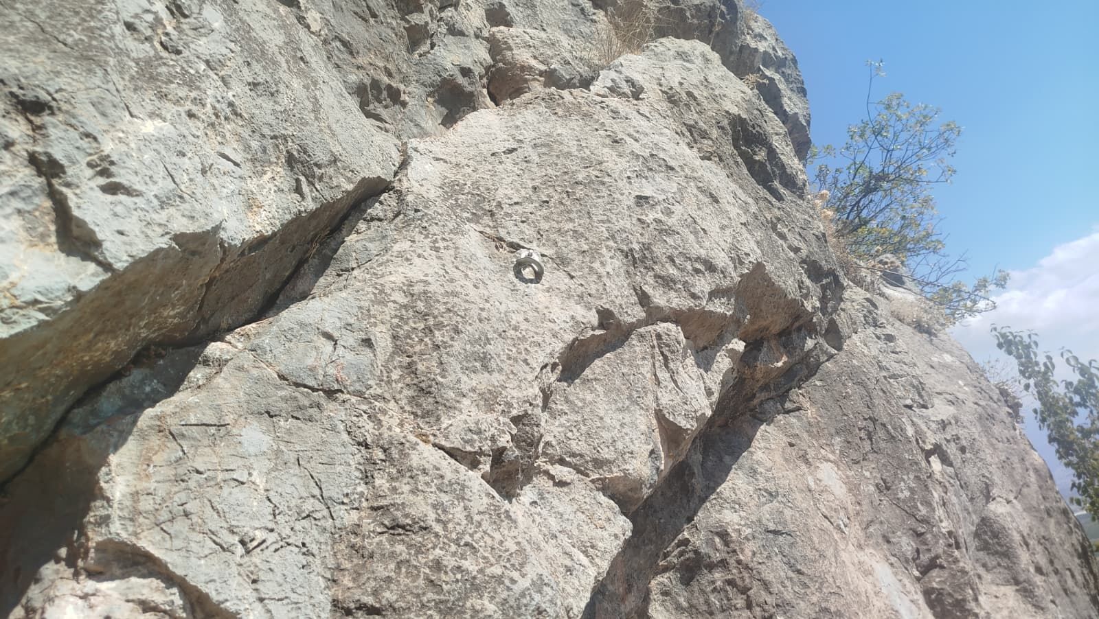 Gündoğdu (3)