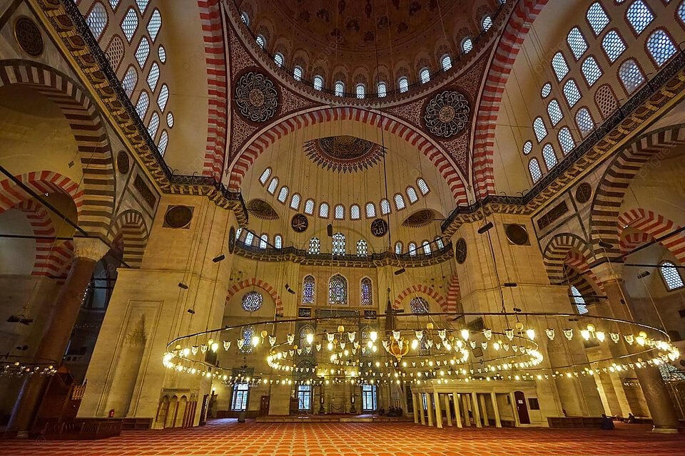 Cami-2