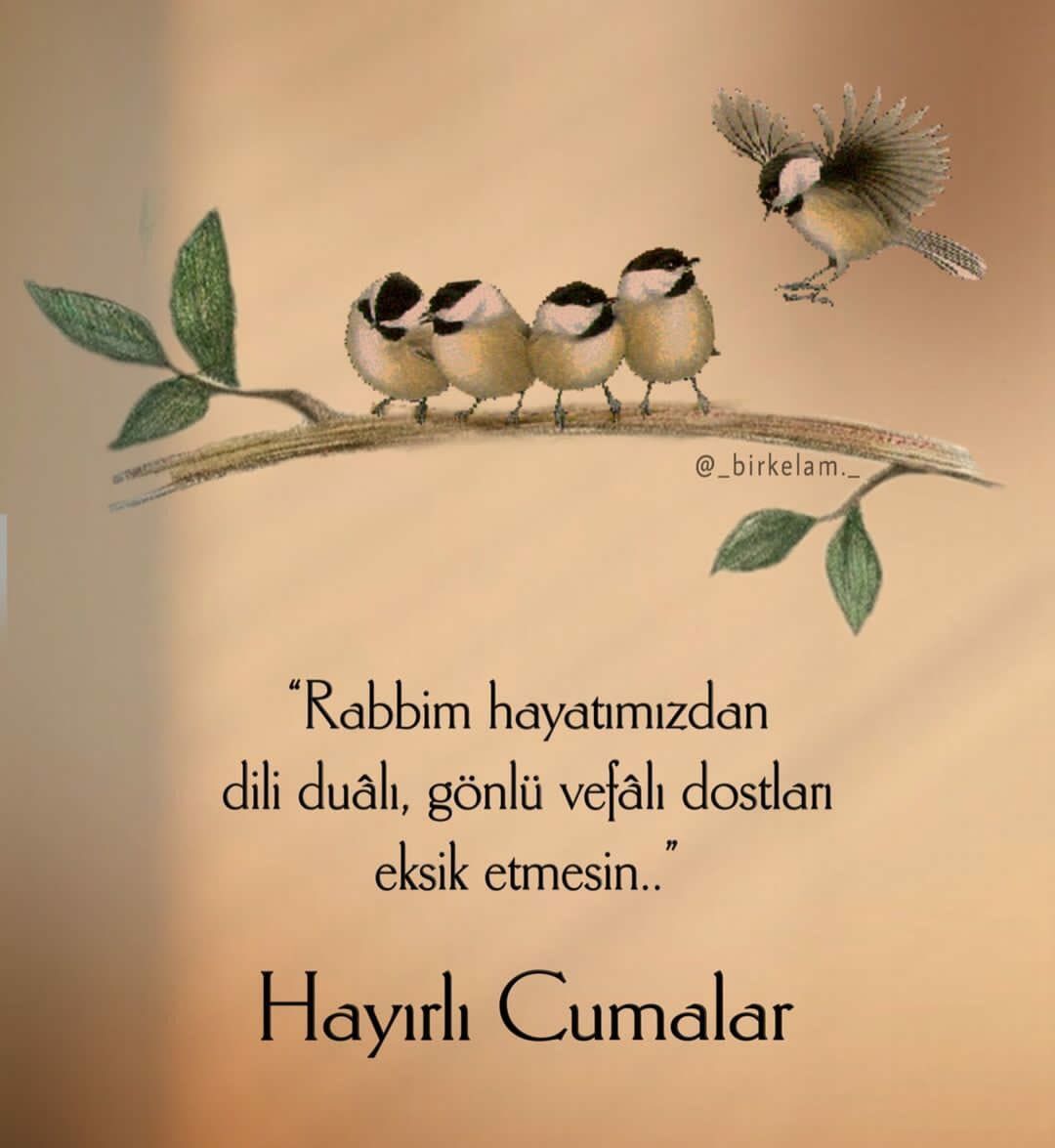 Cuma M2
