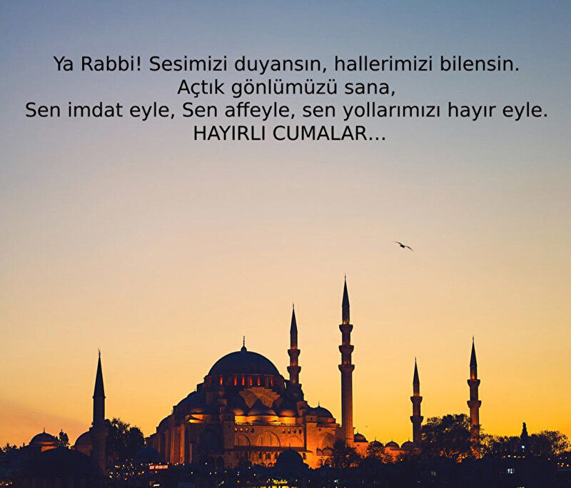 Cuma M6