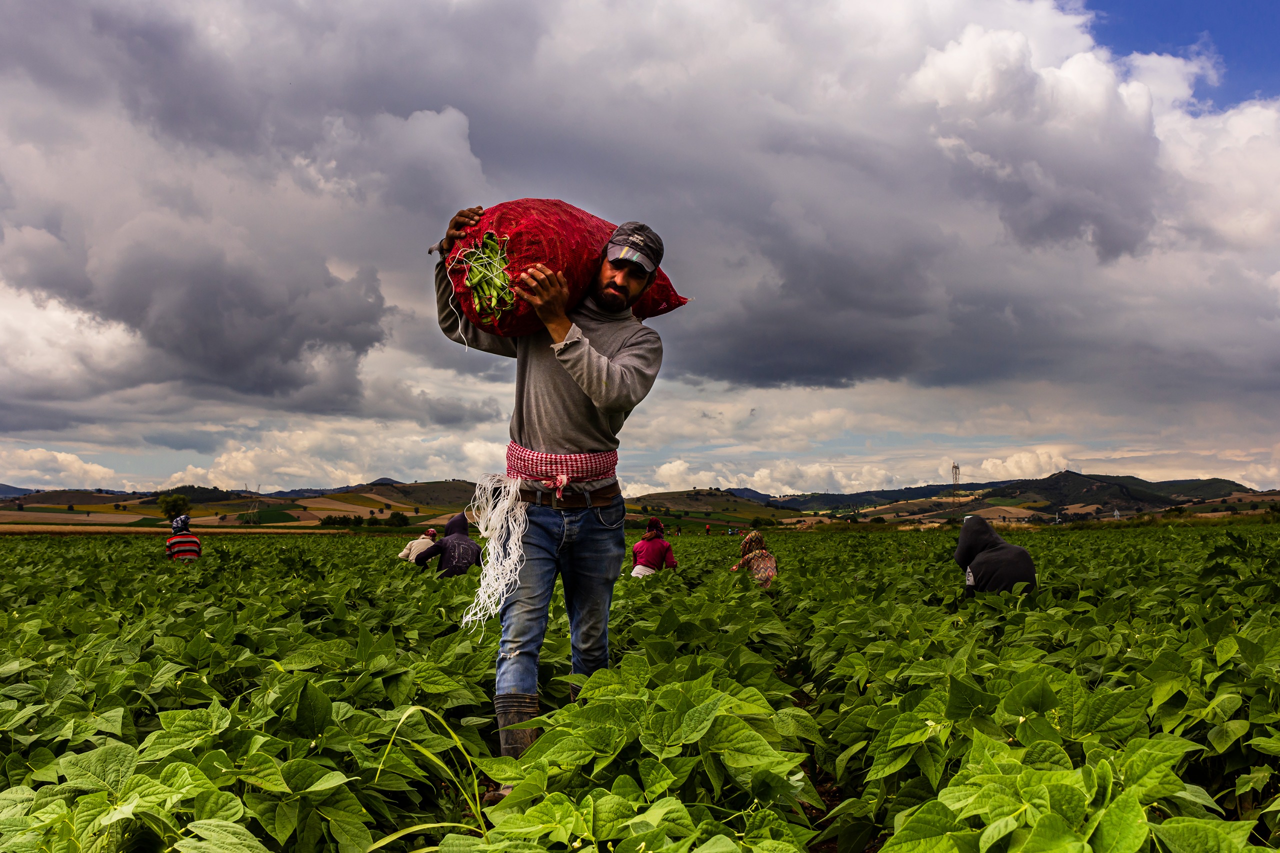 Whatsapp Image 2026 01 28 At 10.43.34 (1)