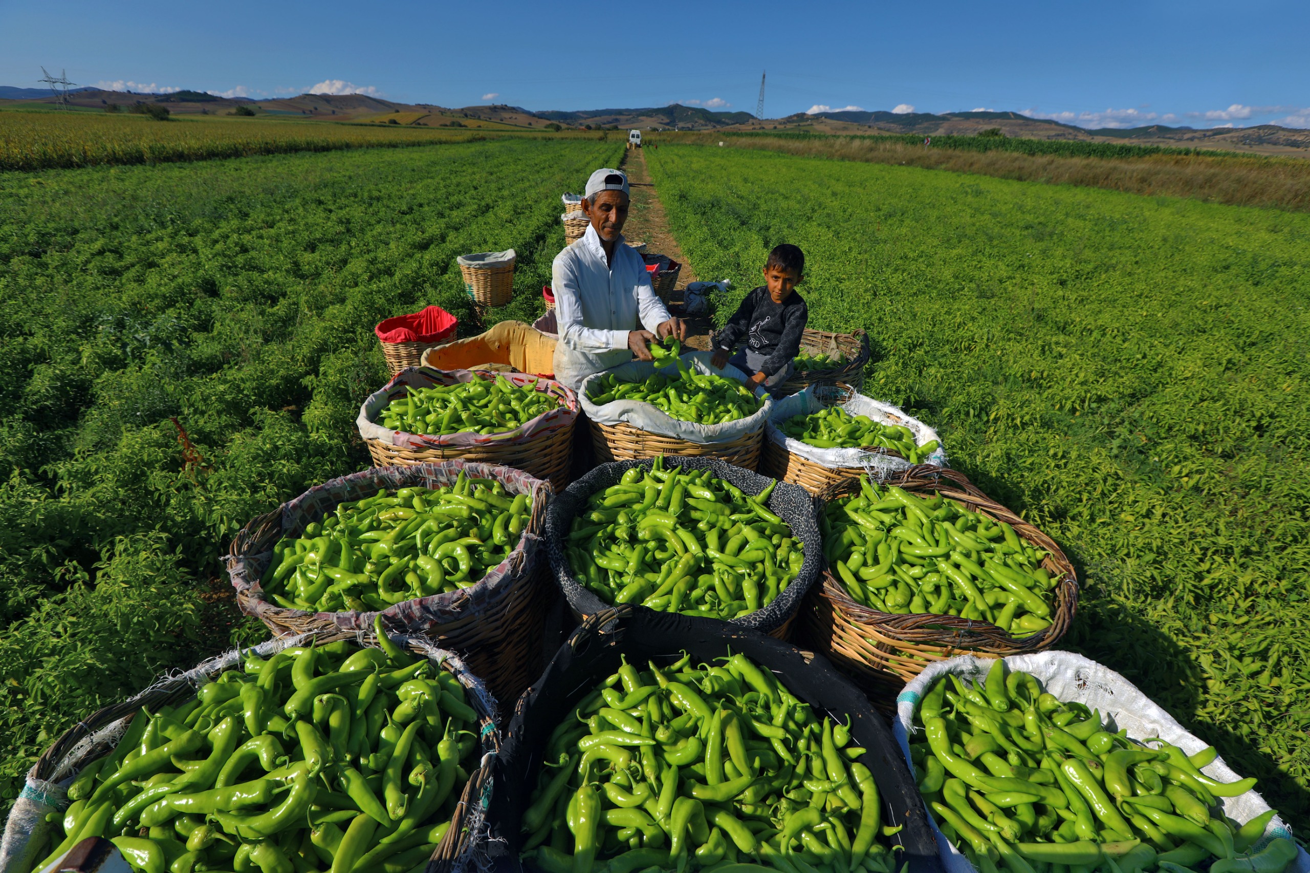 Whatsapp Image 2026 01 28 At 10.43.34 (2)