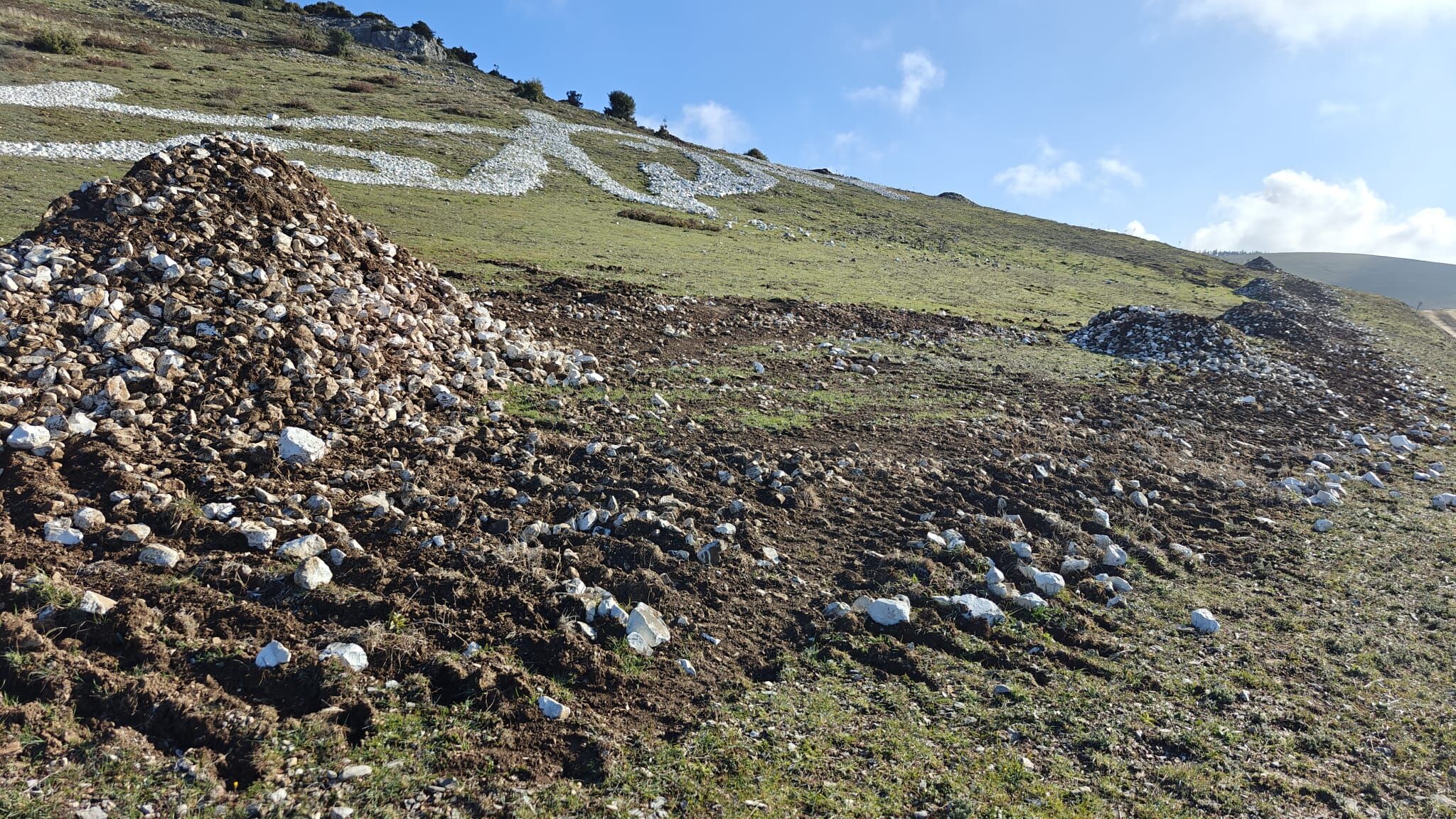Foroğraf1