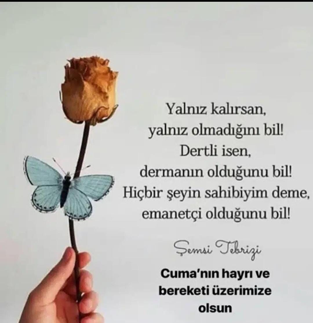 Whatsapp Image 2026 03 27 At 09.18.46