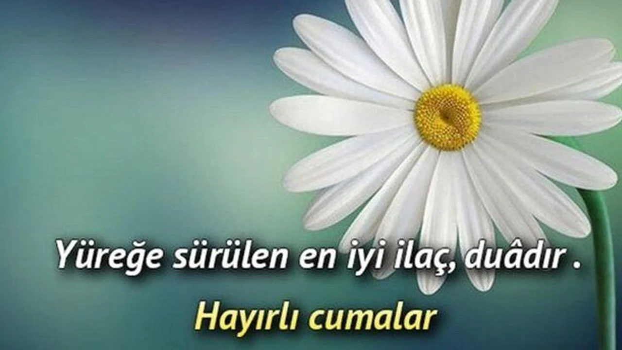 4822682F Cuma Mesajlari 19 Haziran 2026 Resimli Tek Tikla Indir Paylas Hayirli Cumalar Yeni En Guzel Anlamli Duali Ayetli Ve Kisa Cuma Mesajlari Secenekleri Farkli Cuma Sozleri