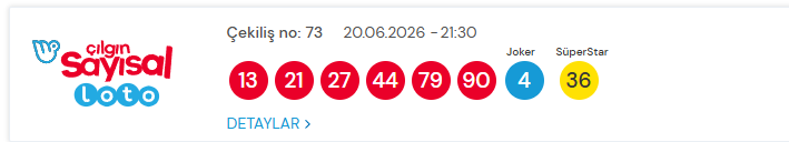 Çılgın Sayısal Loto-1